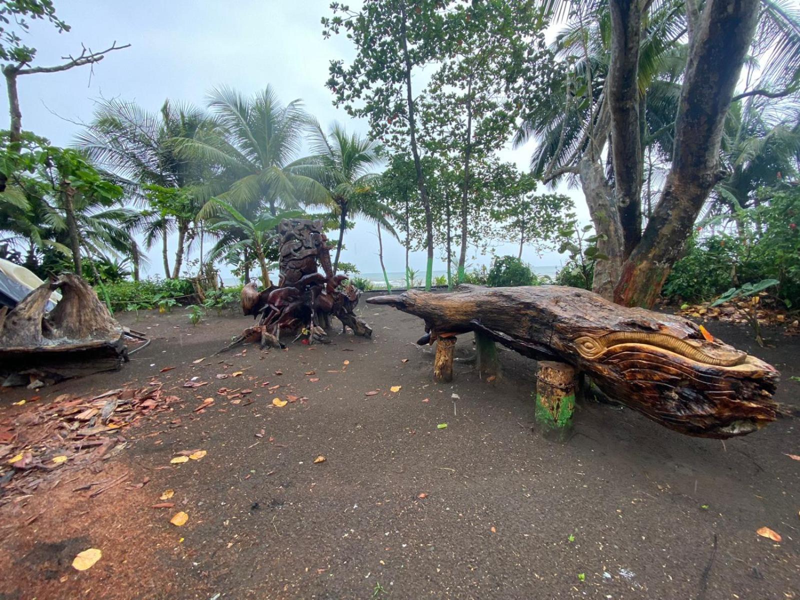 El Deseo Serendipity Tortuguero Exterior photo