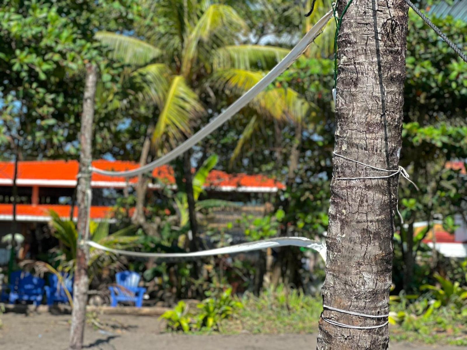 El Deseo Serendipity Tortuguero Exterior photo