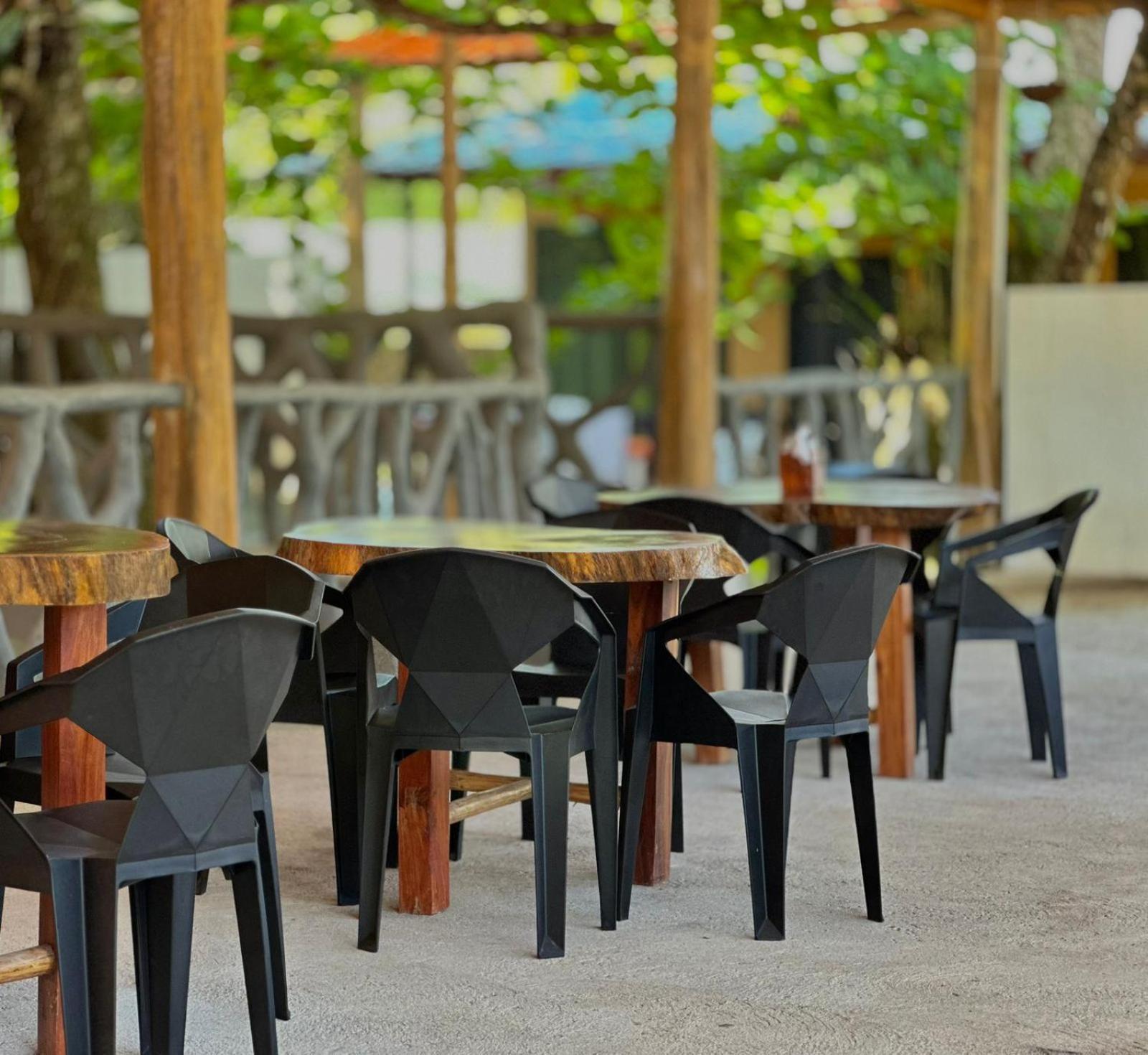 El Deseo Serendipity Tortuguero Exterior photo