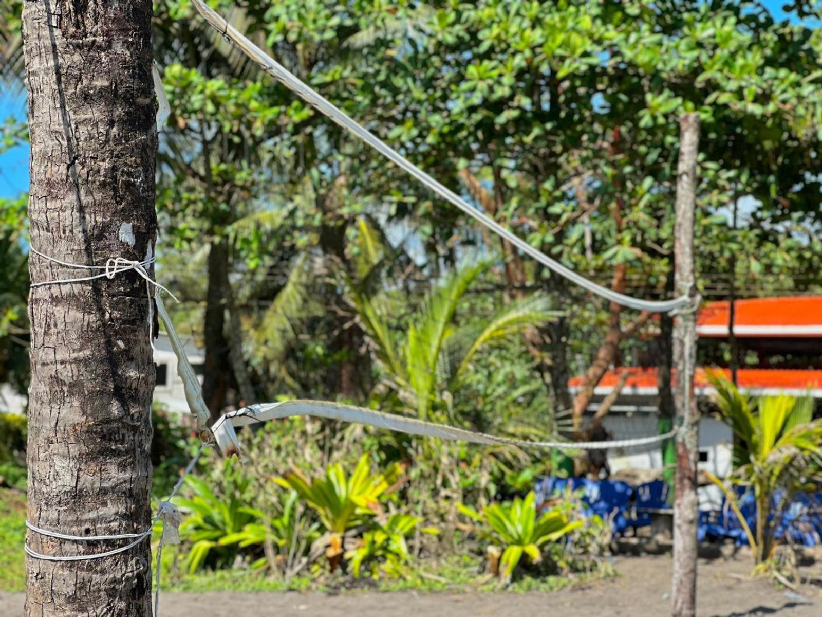 El Deseo Serendipity Tortuguero Exterior photo